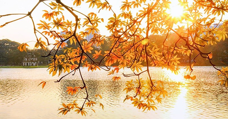 Lưu ý chuyển nhà vào thời điểm giao mùa